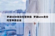 罗湖SEM竞价托管承接  罗湖sem竞价托管承接企业