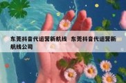 东莞抖音代运营新航线  东莞抖音代运营新航线公司