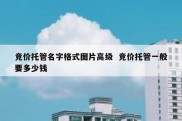 竞价托管名字格式图片高级  竞价托管一般要多少钱