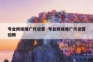 专业网络推广代运营  专业网络推广代运营招聘