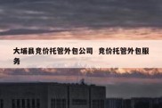 大埔县竞价托管外包公司  竞价托管外包服务