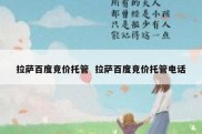 拉萨百度竞价托管  拉萨百度竞价托管电话