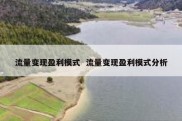 流量变现盈利模式  流量变现盈利模式分析