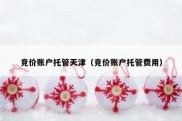 竞价账户托管天津（竞价账户托管费用）
