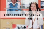 沧州账户竞价托管策划  竞价托管优化公司