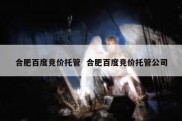合肥百度竞价托管  合肥百度竞价托管公司