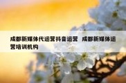 成都新媒体代运营抖音运营  成都新媒体运营培训机构