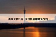 姜堰竞价托管  竞价托管服务多少钱