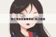 松江竞价托管哪家好  松江拍卖