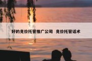 好的竞价托管推广公司  竞价托管话术