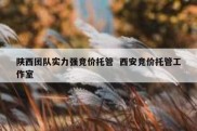 陕西团队实力强竞价托管  西安竞价托管工作室
