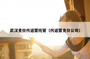 武汉竞价代运营托管（代运营竞价公司）