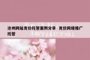 沧州网站竞价托管案例分享  竞价网络推广托管