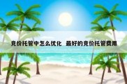 竞价托管中怎么优化  最好的竞价托管费用