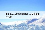 秦皇岛sem竞价托管培训  sem竞价推广托管