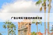 广告公司实习鉴定的简单介绍