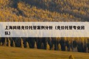 上海网络竞价托管案例分析（竞价托管专业团队）