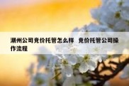潮州公司竞价托管怎么样  竞价托管公司操作流程