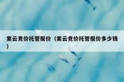 紫云竞价托管报价（紫云竞价托管报价多少钱）
