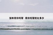 玉林竞价托管  竞价托管优化多少