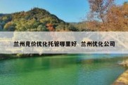 兰州竞价优化托管哪里好  兰州优化公司
