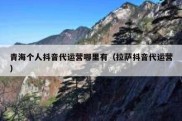 青海个人抖音代运营哪里有（拉萨抖音代运营）