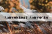 竞价托管策划案例分享  竞价托管推广案例
