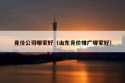 竞价公司哪家好（山东竞价推广哪家好）