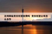 沧州网站竞价托管收费吗  竞价托管公司怎么合作