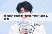 梅州账户竞价托管  梅州账户竞价托管怎么收费