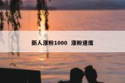 新人涨粉1000  涨粉速度