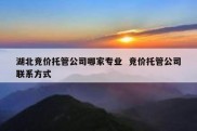 湖北竞价托管公司哪家专业  竞价托管公司联系方式