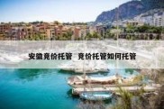 安徽竞价托管  竞价托管如何托管