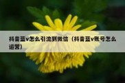 抖音蓝v怎么引流到微信（抖音蓝v账号怎么运营）