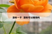 涨粉一千  涨粉可以赚钱吗