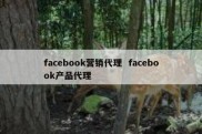 facebook营销代理  facebook产品代理