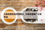 三亚百度竞价托管报价  三亚百度推广公司电话