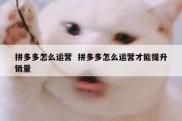 拼多多怎么运营  拼多多怎么运营才能提升销量