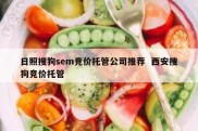 日照搜狗sem竞价托管公司推荐  西安搜狗竞价托管