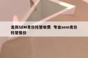 龙岗SEM竞价托管收费  专业sem竞价托管报价