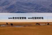 seo竞价托管营销  seo托管的好处