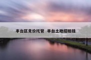 丰台区竞价托管  丰台土地招拍挂