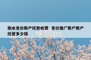 衡水竞价账户托管收费  竞价推广账户账户托管多少钱