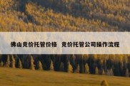 佛山竞价托管价格  竞价托管公司操作流程