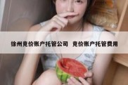 徐州竞价账户托管公司  竞价账户托管费用