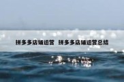 拼多多店铺运营  拼多多店铺运营总结