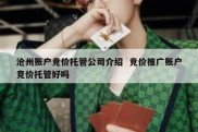 沧州账户竞价托管公司介绍  竞价推广账户竞价托管好吗