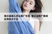 独立站成人怎么推广引流  独立站推广提成比例多少个点
