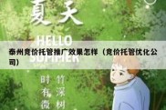 泰州竞价托管推广效果怎样（竞价托管优化公司）
