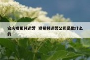 安庆短视频运营  短视频运营公司是做什么的